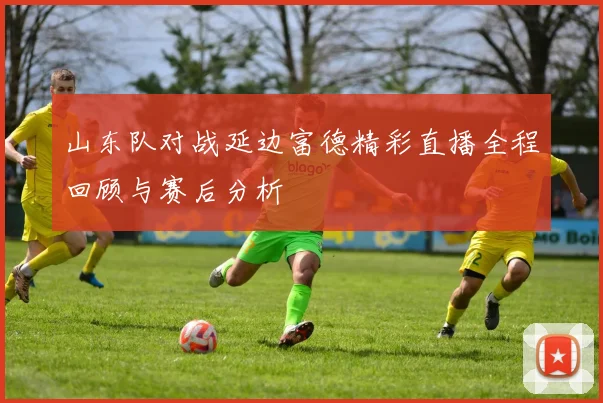 山东队对战延边富德精彩直播全程回顾与赛后分析