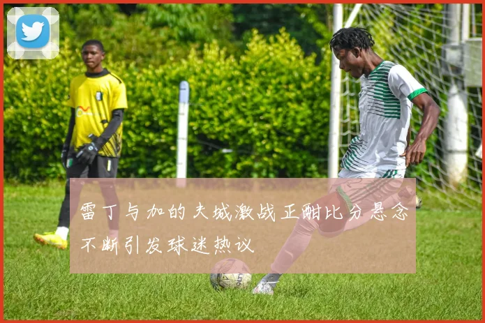 雷丁与加的夫城激战正酣比分悬念不断引发球迷热议